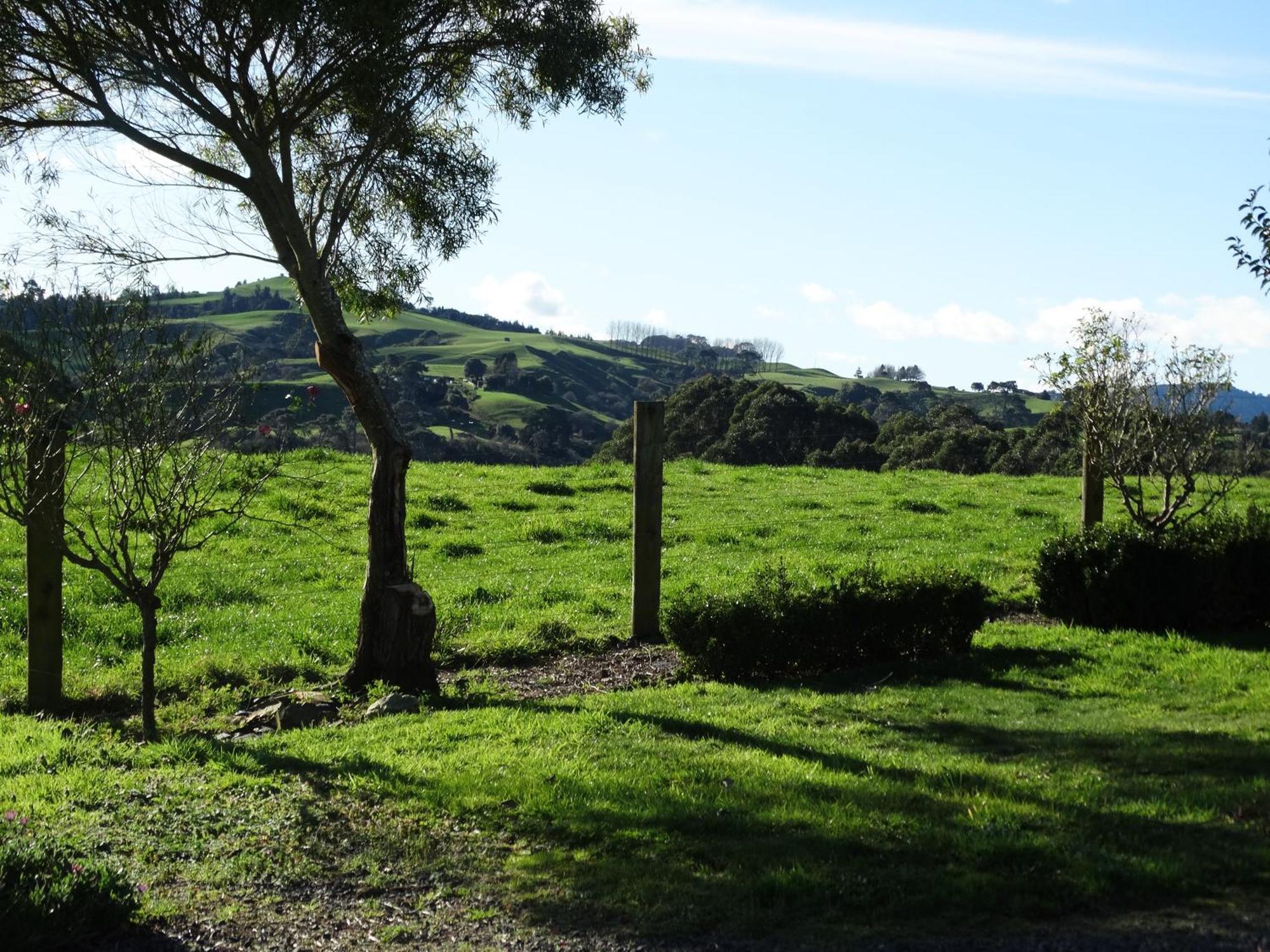 Kauri Lodge Karapiro Екстер'єр фото