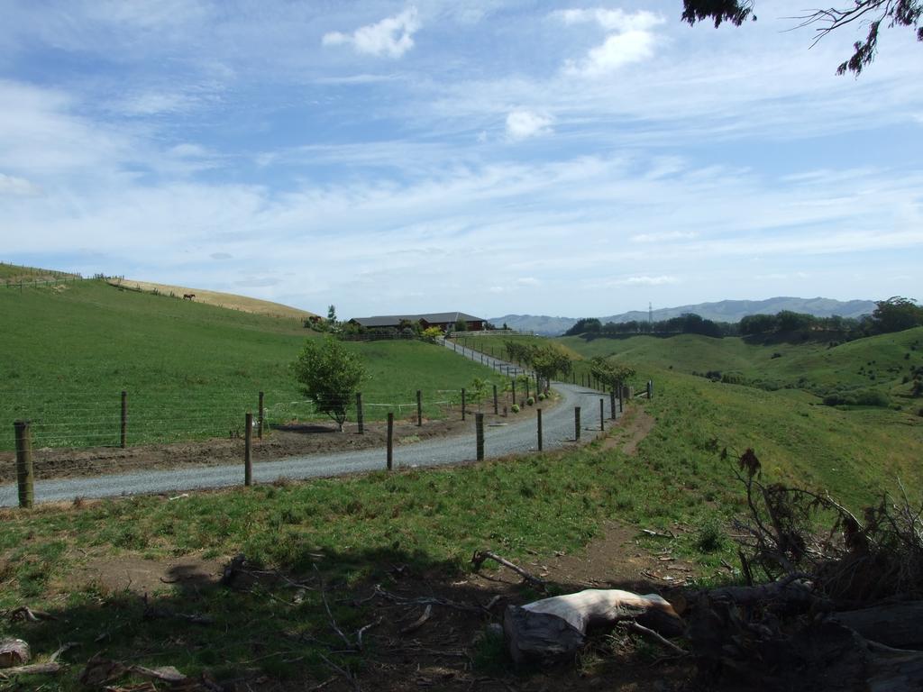 Kauri Lodge Karapiro Екстер'єр фото